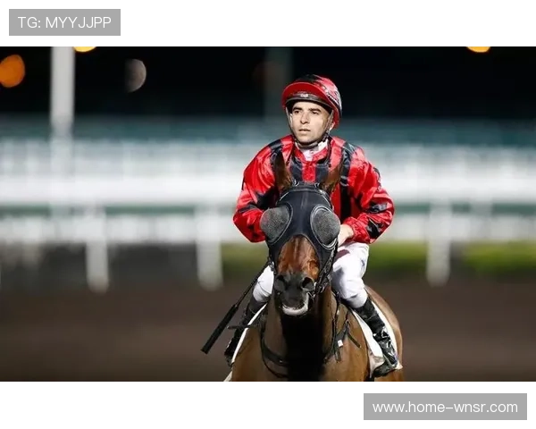 赛事执行标准在本阶段通过数字指引落地 确保了多地办赛的服务一致性